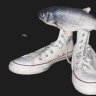 MR_FISH